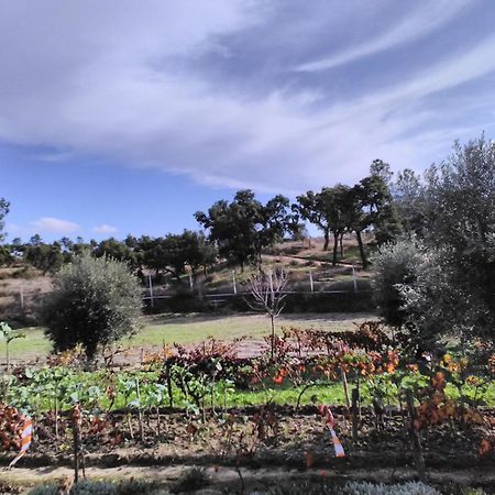 Monte Familia Ferreira Otel Vale de Acor Dış mekan fotoğraf