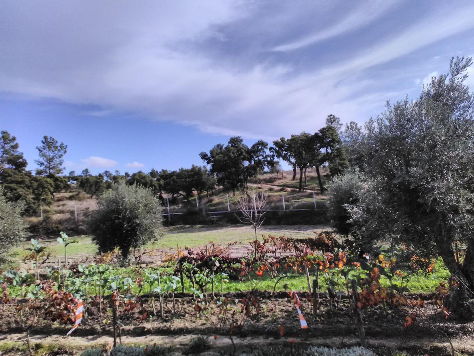 Monte Familia Ferreira Otel Vale de Acor Dış mekan fotoğraf